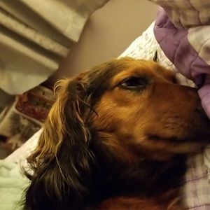 Meet your Posher, Kaylee